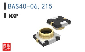 BAS40-06,215