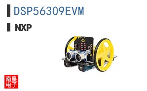 DSP56309EVM